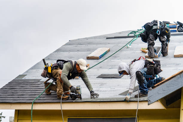 Professional Gutter Installation technician working in Lake George, MN
